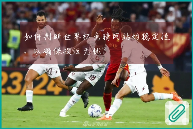 如何判断世界杯竞猜网站的稳定性，以确保投注无忧？