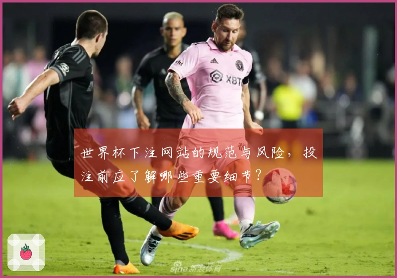 世界杯下注网站的规范与风险，投注前应了解哪些重要细节？