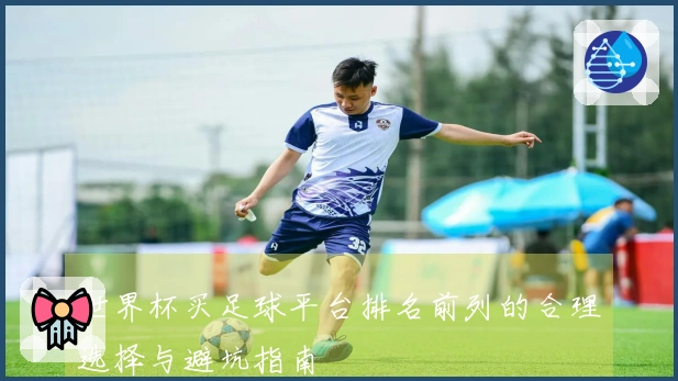 世界杯买足球平台排名前列的合理选择与避坑指南